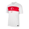 Conjunto (Camiseta+Pantalón Corto) Turquía Primera Equipación Euro 2024 - Niño